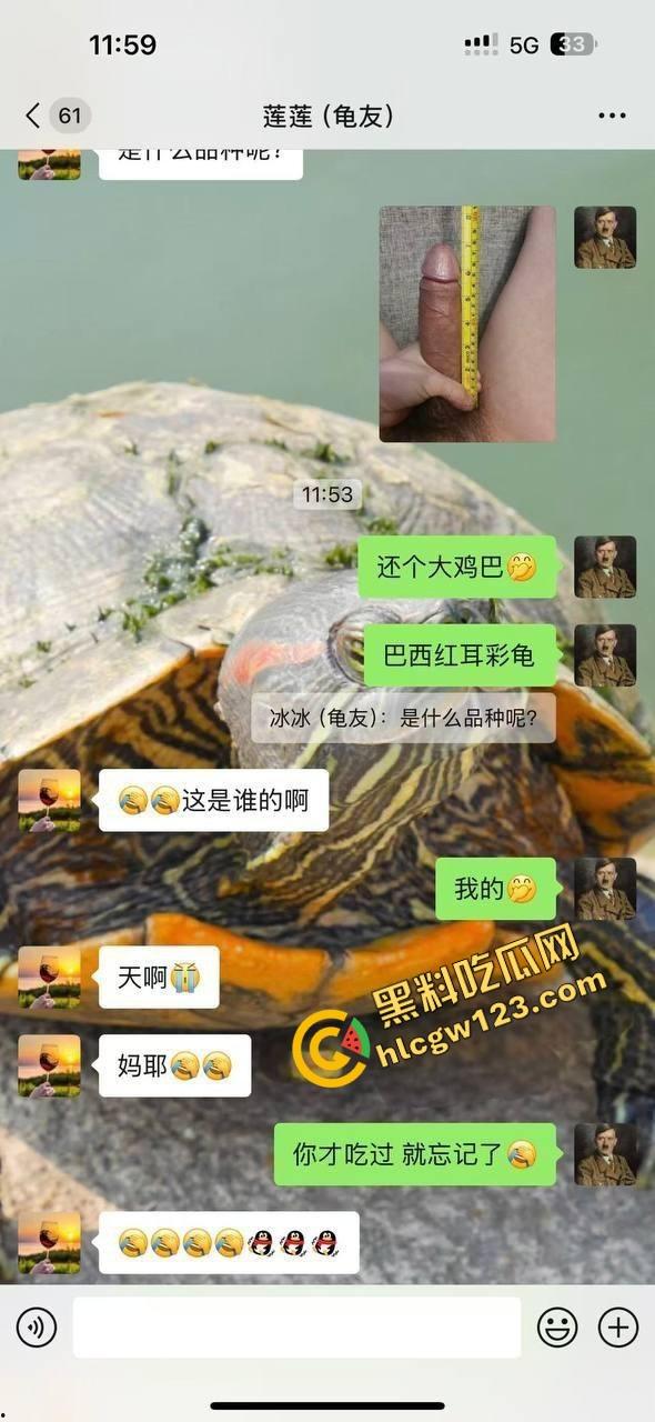 小区楼下遛乌龟竟钓到邻居骚少妇39岁『张珊珊』口活惊艳，屁股一摇榨汁三升，送龟送到床上操！-2